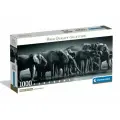 Пазл для взрослых Clementoni 1000 деталей, элементов: Стадо слонов