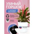Горшок/Кашпо с автополивом для домашних растений и цветов 4,5л Белый