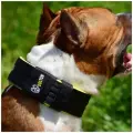 Ошейник для собак от DOGTON. Широкий ошейник 5.5 см. Ручная работа. Премиум качество. Сварная фурнитура.
