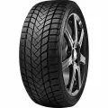 Шины зимние Delinte Winter WD6 225/50 R17 98H