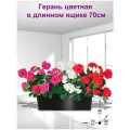Композиция из искусственных цветов Герань цветная в длинном ящике 70см от ФитоПарк
