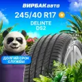 Летние шины DELINTE DS2 245/40R17 95Y XL