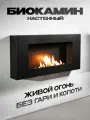 Биокамин настенный MNL900