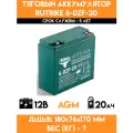 Тяговый аккумулятор RuTrike 6-DZF-20 (12V20A/H C2)