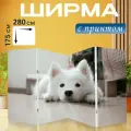 Ширма Собака, щенок, белый перегородка для зонирования комнаты с принтом 280x175 см. на холсте