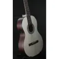 Акустическая гитара MIG Guitars AG3-WA24
