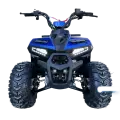 Квадроцикл YACOTA RAPOSA, бензиновый, для детей от 5 лет, 1 место, максимальная скорость 45км/ч