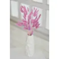 Лагурус сухоцветы для декора