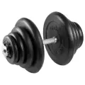 Гантель разборная 40 кг TITAN Barbell - d26, Комплектация №1 с железной ручкой
