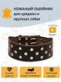 Широкий кожаный ошейник CHOKERZ для средних и крупных пород собак. На шею 55-65 см. Ширина - 70 мм.