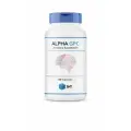 Альфа ГФХ Когнитивная Поддержка SNT Alpha GPC Cognitive Support 300 mg 60 капсул