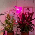 Светодиодная фитолампа ЭРА Fito 12W E27 для растений красно-синего спектра (комплект из 2 шт)