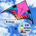 Воздушный змей Графика 2 метра с хвостом 10 метров, с леером 100м, в тканевом чехле, Скайтика