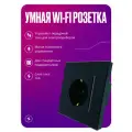 Умная розетка WIFI на 16А, встраиваемая с голосовым управлением, умный дом, стеклянная черная