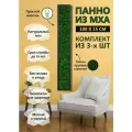 3 шт Панно из стабилизированного мха 100*15 см, большая настенная картина для интерьера, для дома и комнаты