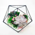 Флорариум с суккулентами Бархатная нежность мини Икосаэдр 14см (Ø16см)