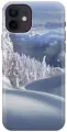 Силиконовый чехол на Apple iPhone 12 / 12 Pro / Эпл Айфон 12 / 12 Про с рисунком Заснеженный лес и горы