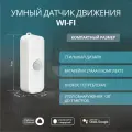 Умный WiFi датчик движения ROXIMO SWP08 с Алисой