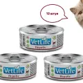 Влажный корм для кошек Farmina Vet Life Hepatic при заболевании печени, 12 шт по 85 гр