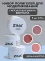 Полигели для наращивания и моделирования ногтей ZINA, набор 06, 3х15гр Молочный, нюдовый, розовый