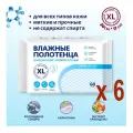 Влажные полотенца XL, универсальные без спирта, размер салфетки 28*17 см, 60 шт, 6 упак
