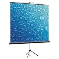 Экран для проектора ViewScreen Clamp Pro (16:10) 175*111 (169*105) MW