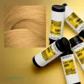 REDKEN Краска для волос Color Gels Oils 10NW 60 МЛ