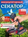 Секатор аккумуляторный садовый с 2 аккумуляторами АКБ, кусторез, сучкорез, черный