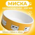 Миска керамическая Опасные коты 230 мл 12,5 x 4,5 cм, бело-оранжевая