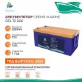 Тяговый аккумулятор Sunways Marine SMB GEL 12В 200Ач аккумулятор для лодки, мотора, 1 шт.