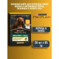 Pro Plan / Влажный корм для взрослых собак мелких и карликовых пород, склонных к набору веса, с курицей в соусе, 85 г х 26 шт