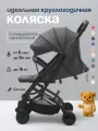 Коляска прогулочная складная для путешествий Tommy Trip темно-серая