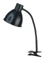 Настольная лампа светильник Лира НДБ38-40-007 Черный E27 220В