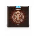 Струны для акустической гитары D'Addario NB1253 Nickel Bronze 12-53