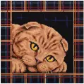 Кристальная (алмазная) мозаика фрея ALBP-293 постер Шотландская кошка 30 х 30 см