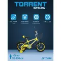 Детский велосипед TORRENT Saturn (1 скорость, добавочные колеса, рама сталь, колеса 14, корзина)
