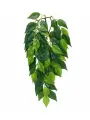 Тропическое растение Exo Terra Jungle Plants Фикус, среднее, 55х25 см