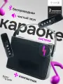 Караоке система с двумя микрофонами, колонка с микрофоном для караоке черная