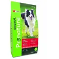 Pronature Original корм для собак всех пород ягненок, горох, ячмень