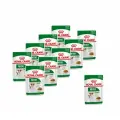 Royal Canin Для взрослых собак мелких размеров с 10 месяцев до 8 лет кусочки в соусе, 0.085 кг х 10 шт.