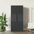 LAERA Шкаф для одежды двухдверный распашной с полками сити графит