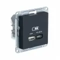 SE ATLASDESIGN USB розетка A + тип-C 45W высокоскор. заряд. QC, PD, механизм, карбон