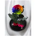 Роза в колбе Therosedome Premium ХИТ, стабилизированная, 27x15x20 см, биколор