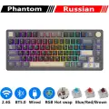 RK Royal Kludge M75 Механическая беспроводная клавиатура 81 клавиша RGB, Phantom Russian, Brown Switch