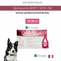 Атоп 7 Спот-он капли дерматологические для кошек и собак 10-20 кг