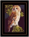 PN-0146814 Набор для вышивки крестом LanArte Owl Сова