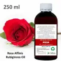 Эфирное масло розы / Rosa Affinis Rubiginosa Oil - 250 мл