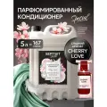 Кондиционер для белья Septivit Special Cherry Love 5л