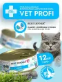 Влажный диетический корм Best Dinner VET PROFI Renal для кошек при заболеваниипочек с ягненком и рисом (12шт х 100гр)