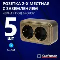 Розетка накладная наружней открытой установки двухместная RA 16-238-ЧБ, с заземлением, черная под бронзу, 5 шт